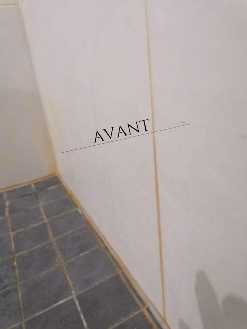 Brilgrout - Nettoyant concentré pour joints