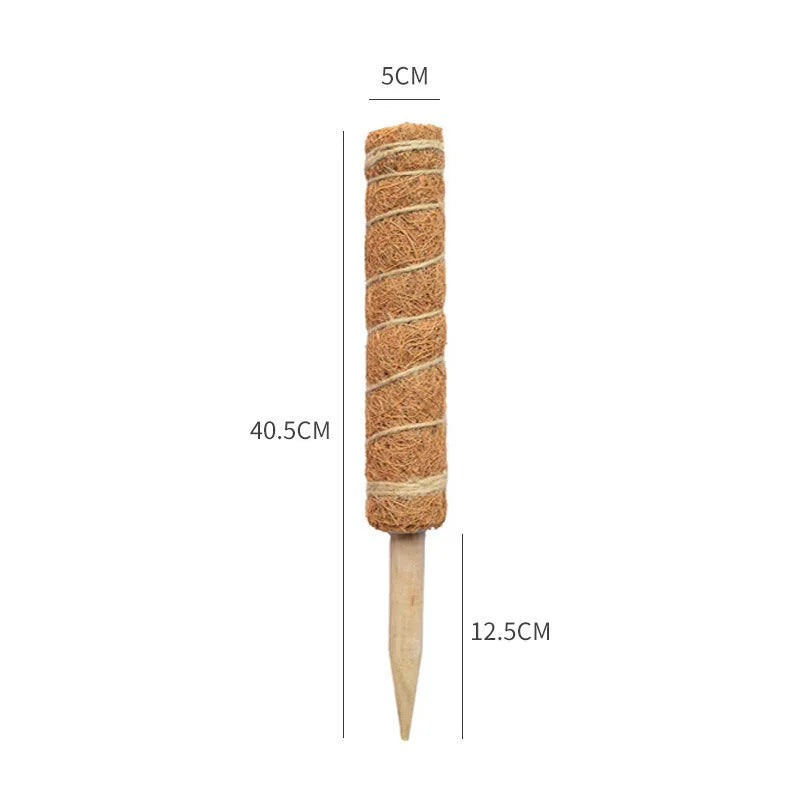 Tuteurs extensibles et déformables pour plantes grimpantes en cocotier