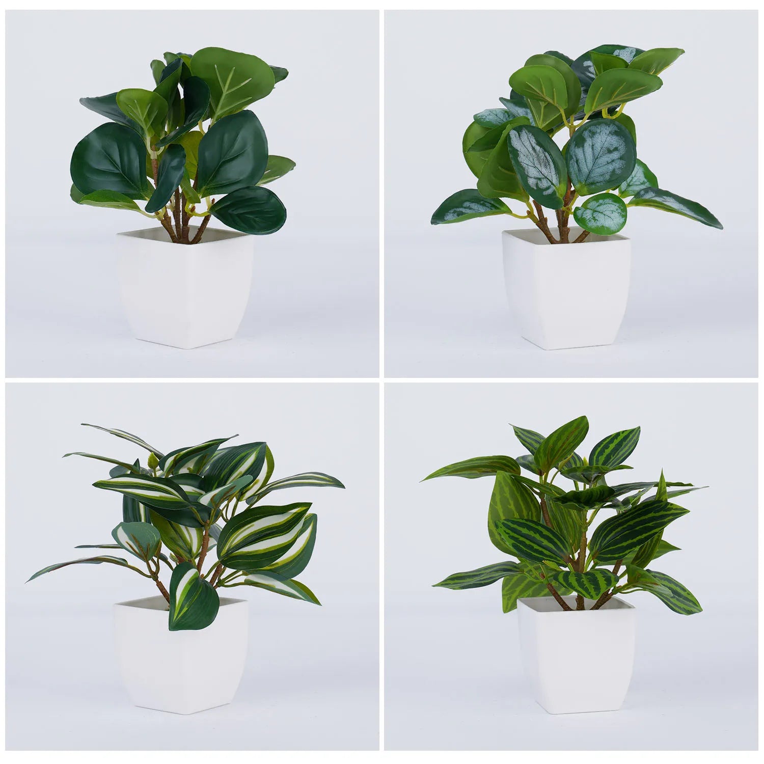 Image with text section