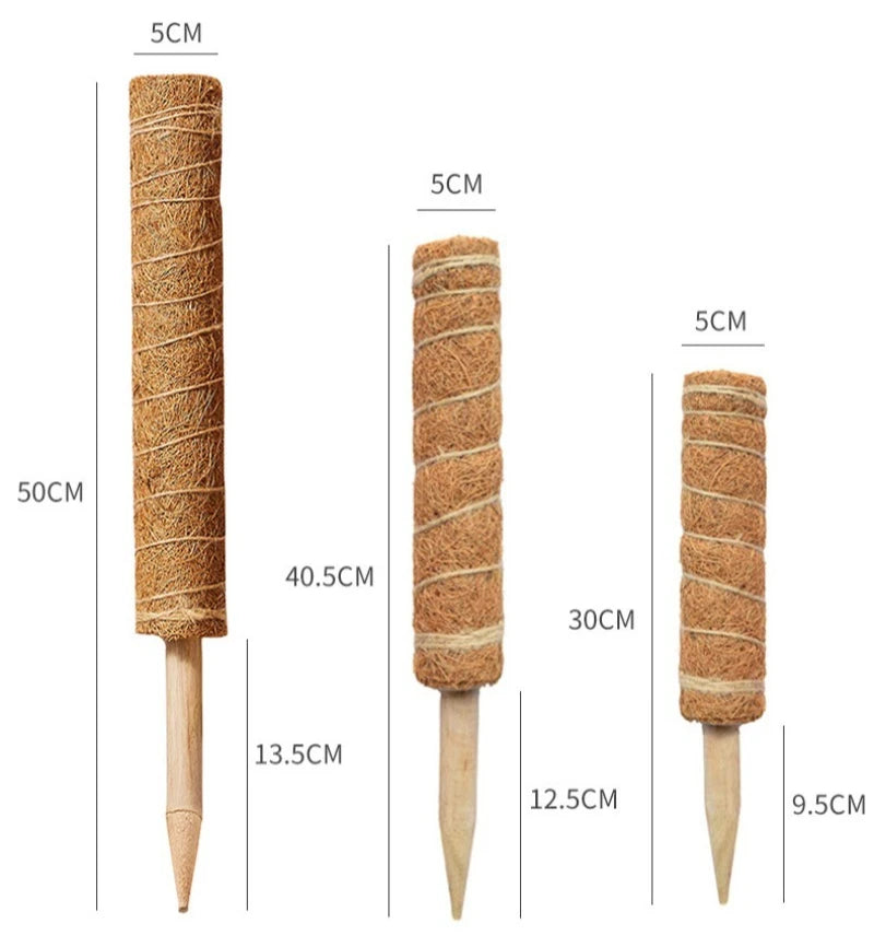 Tuteurs extensibles et déformables pour plantes grimpantes en cocotier