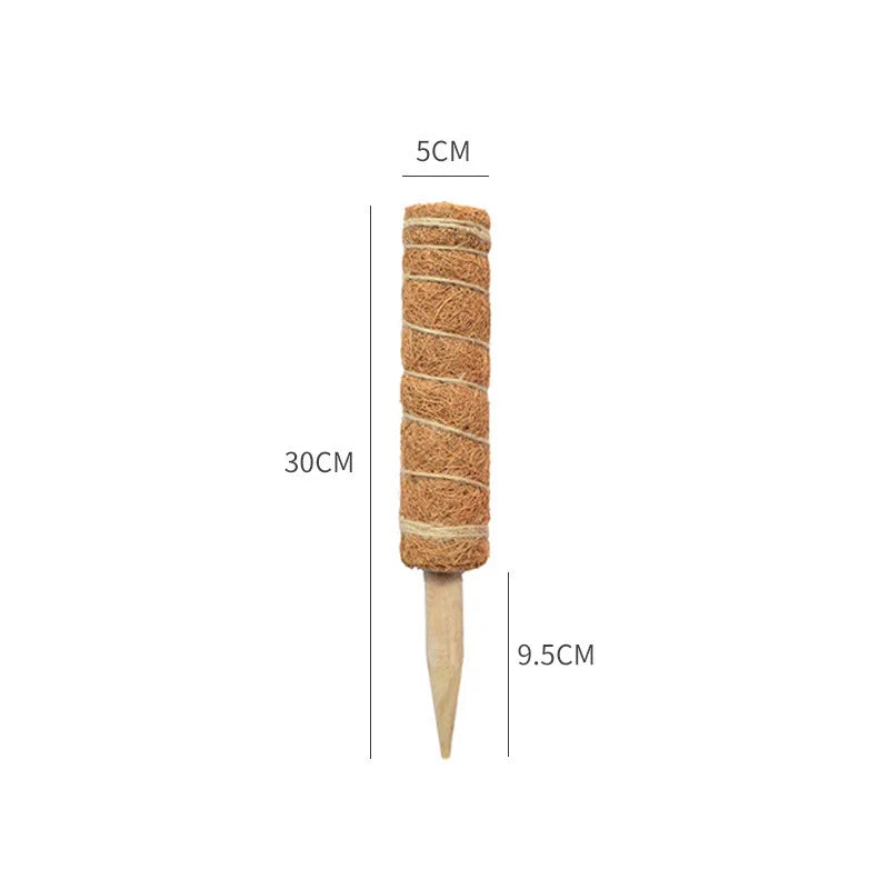 Tuteurs extensibles et déformables pour plantes grimpantes en cocotier