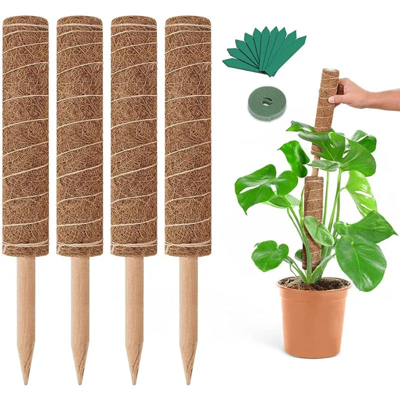 Tuteurs extensibles et déformables pour plantes grimpantes en cocotier