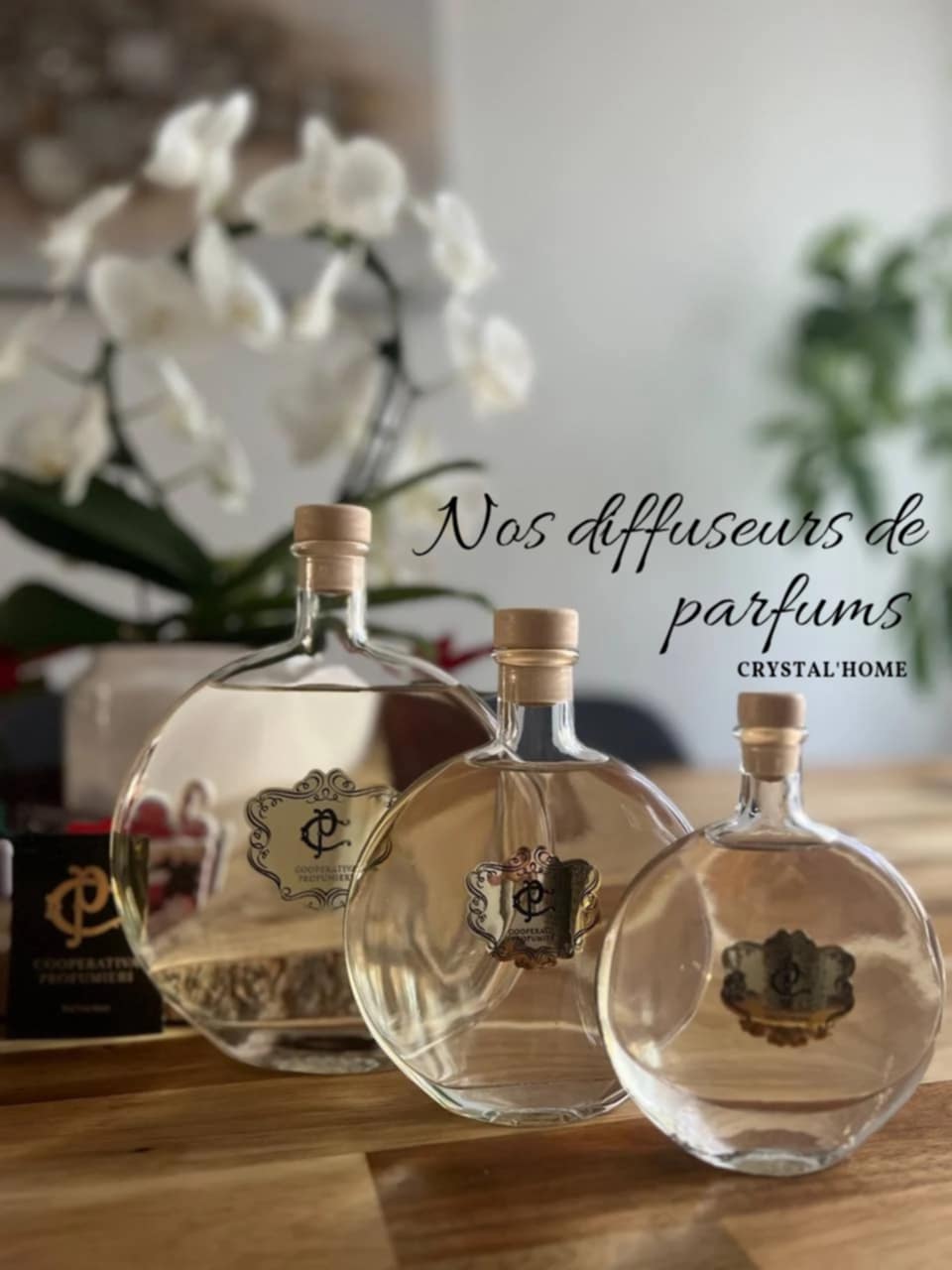 Image with text section